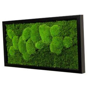 Moosbild Rechteck mit schwarzem Holzrahmen, 60 x 30 cm