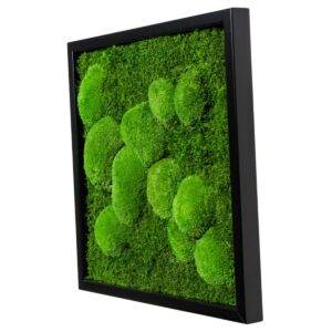 Moosbild Quadrat mit schwarzem Holzrahmen, 35 x 35 cm