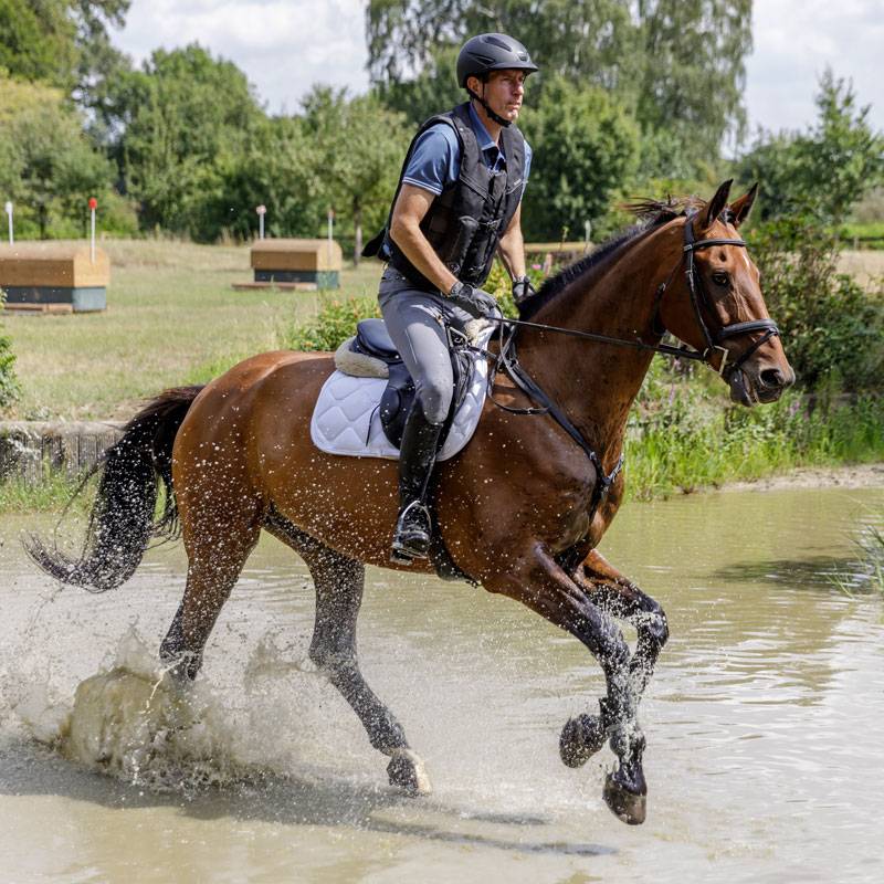 Reitunterricht für Spät- und Wiedereinsteiger