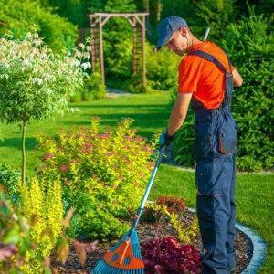 Gärtner-Service aus Cuxhaven & Stade – Jetzt Paket buchen und Termin sichern!