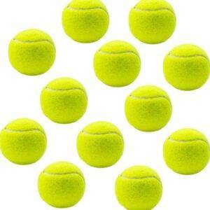 12 Stück Tennisbälle, Freizeit Tennisbälle, Tennisball Hund, Tennisbäll Kinder, Tennisball Anfänger, mit Mesh Tragetasche, für Tennis Unterricht, Ballmaschinen und Hunde Spielgerät