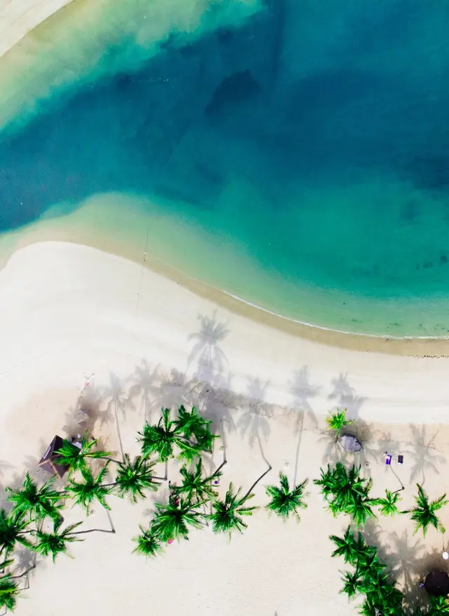 „Meer, Strand & Palmen“ – Ruhe. Weite. Gegenwart.