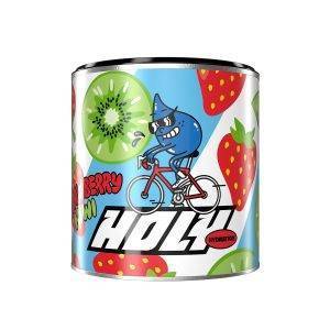 HOLY Hydration 'Strawberry Kiwi' | 50 Portionen mit wertvollen Elektrolyten & Mineralstoffen | Hydration Drink | Vegan mit 100% natürlichen Fruchtaromen (350g)