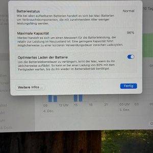 Mac Book Pro, 16 GB - 1000GB