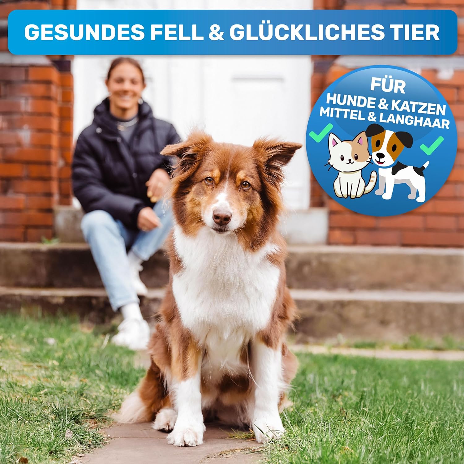 Hundebürste Unterwolle langhaar & Katzenbürste langhaar I Unterwollkamm entfernt Unterwolle & Verfilzungen I Deckhaarschutz & Knoten Entfernen I Unterfellbürste Hunde für Fellwechsel – Bild 4