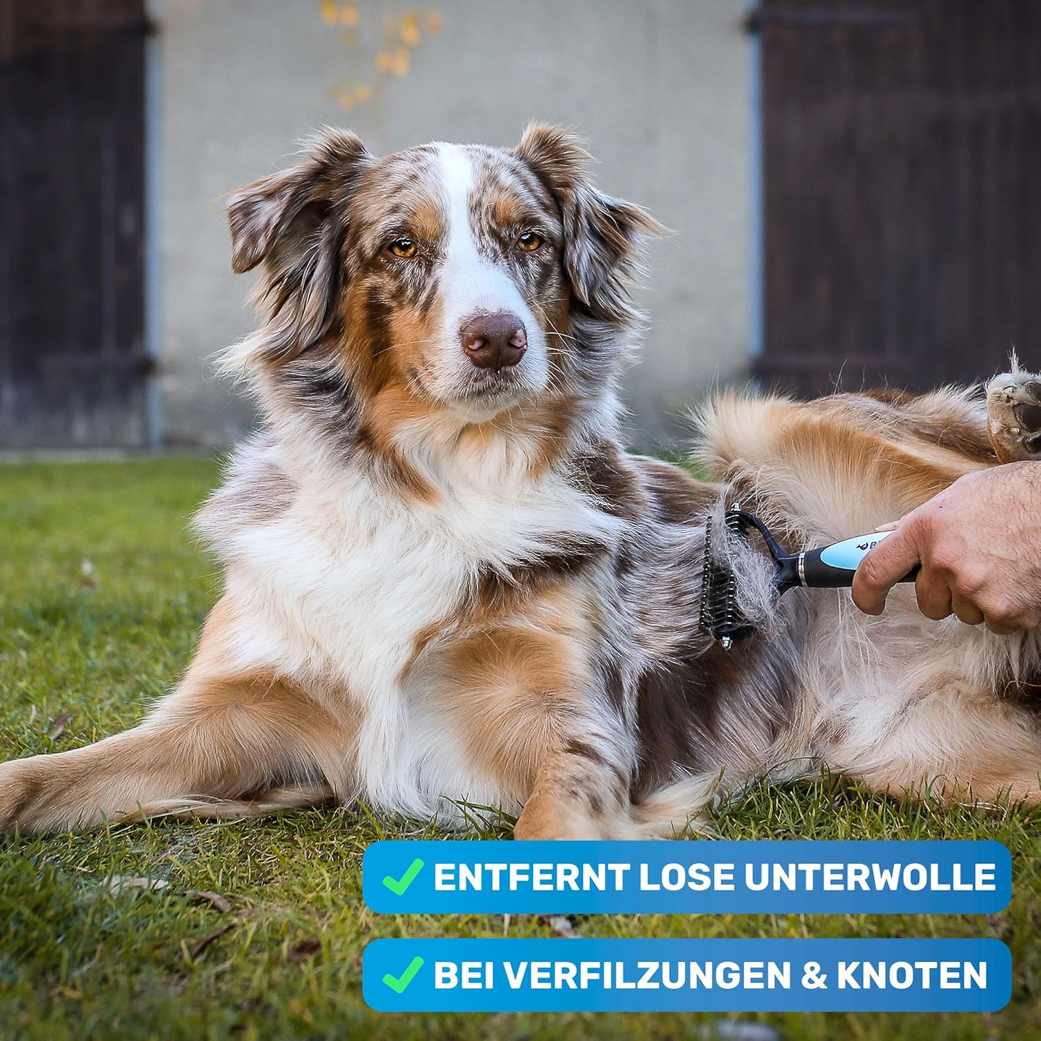 Hundebürste Unterwolle langhaar & Katzenbürste langhaar I Unterwollkamm entfernt Unterwolle & Verfilzungen I Deckhaarschutz & Knoten Entfernen I Unterfellbürste Hunde für Fellwechsel