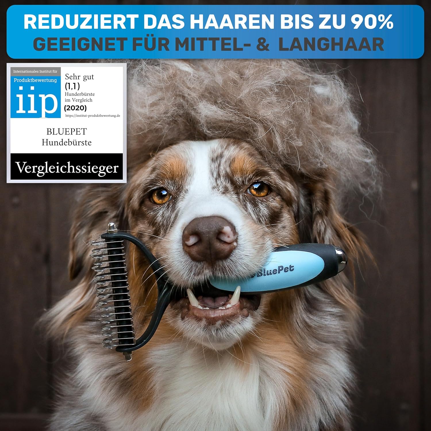 Hundebürste Unterwolle langhaar & Katzenbürste langhaar I Unterwollkamm entfernt Unterwolle & Verfilzungen I Deckhaarschutz & Knoten Entfernen I Unterfellbürste Hunde für Fellwechsel