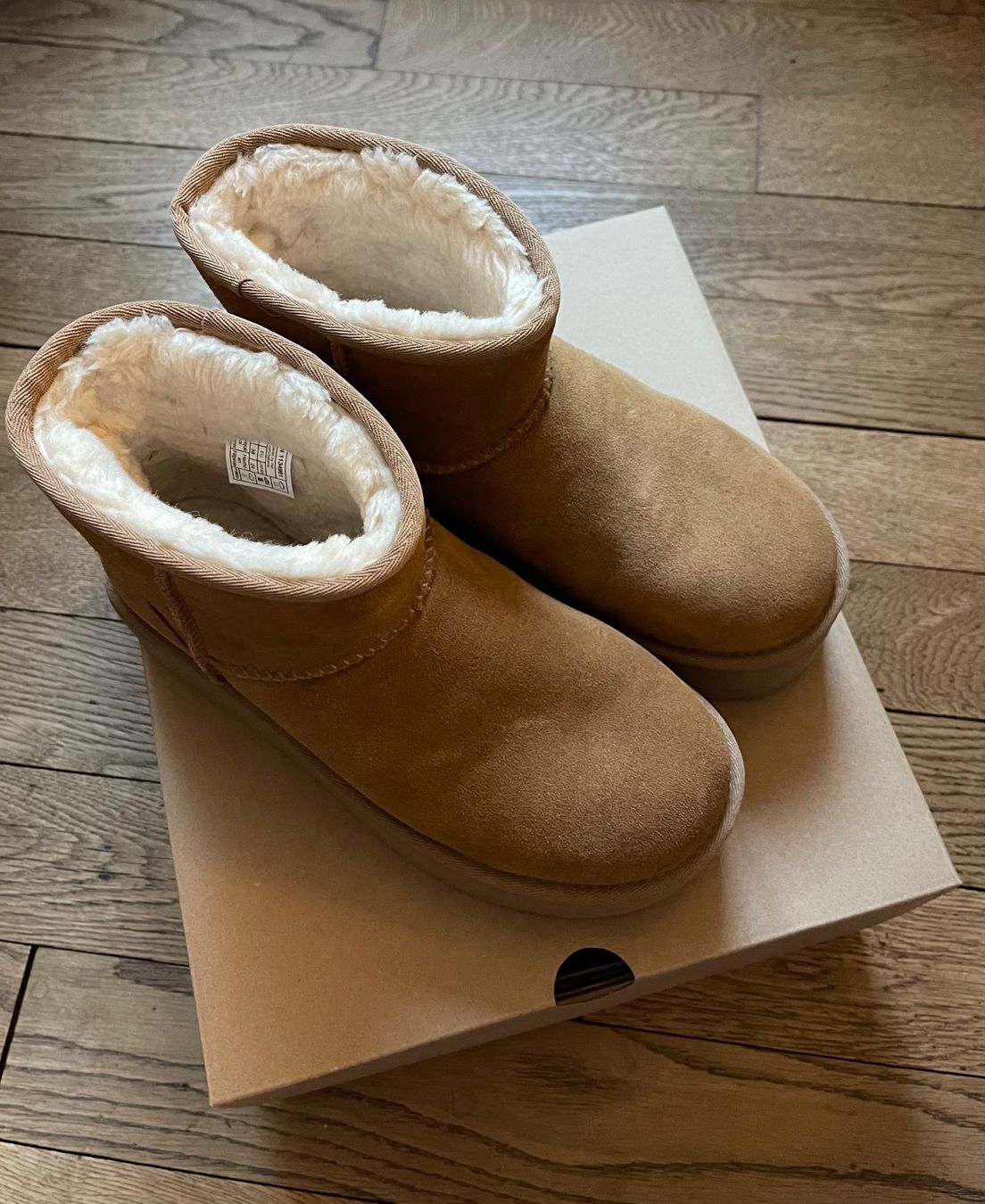 UGG Classic Mini Platform Boots Chestnut Gr. 38